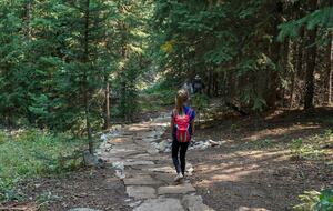 Cozy home in Breckenridge Historic District - ski, mountain bike & hike - walk to shopping + dining - Breckenridge, Colorado