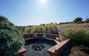 Sebastopol Wine Country Home - Sebastopol, California