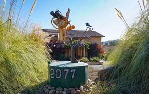 Sebastopol Wine Country Home - Sebastopol, California
