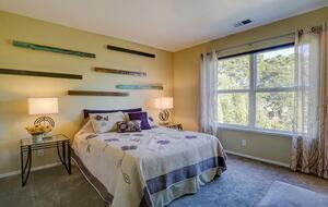 Sebastopol Wine Country Home - Sebastopol, California