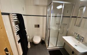 Luxury 3 BR Apartment in Traditional Alpine Ski Chalet - Klosters, Switzerland