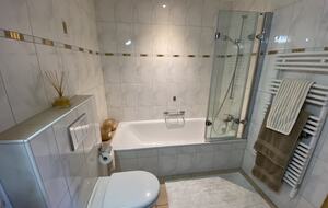 Luxury 3 BR Apartment in Traditional Alpine Ski Chalet - Klosters, Switzerland