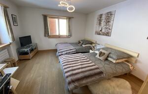 Luxury 3 BR Apartment in Traditional Alpine Ski Chalet - Klosters, Switzerland