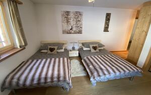 Luxury 3 BR Apartment in Traditional Alpine Ski Chalet - Klosters, Switzerland