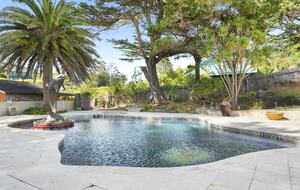 Beachfront Magical Paradise - Bolinas, California