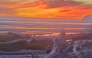 Whale Cove Oceanfront Dream - Depoe Bay, Oregon