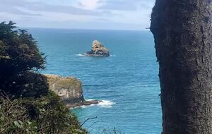 Whale Cove Oceanfront Dream - Depoe Bay, Oregon