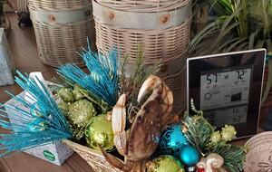 Whale Cove Oceanfront Dream - Depoe Bay, Oregon