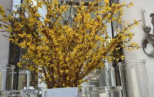 Mill Valley Masterpiece - Mill Valley, California