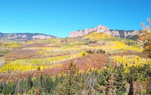 Hummingbird Hideaway - Ridgway, Colorado
