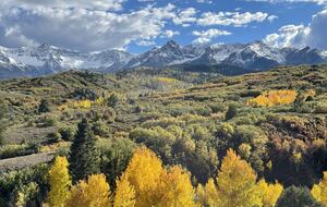 Hummingbird Hideaway - Ridgway, Colorado