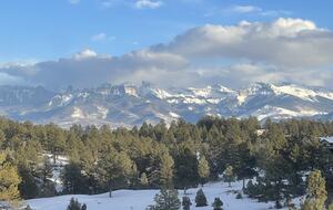 Hummingbird Hideaway - Ridgway, Colorado