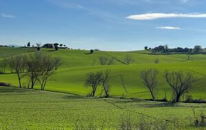 Villa San Lorenzo Umbrian Estate - Castiglione Del Lago, Italy