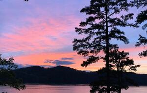 Waterfront Gem on Norris Lake - Maynardville, Tennessee