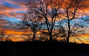 Villa San Lorenzo Umbrian Estate - Castiglione Del Lago, Italy