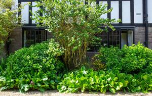 1 Waterlow Court - London, United Kingdom