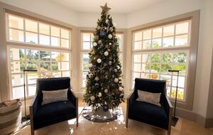 Amazing Private Family Luxury Estate in Sunny Rancho Santa Fe - Rancho Santa Fe, California