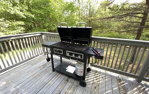 Pocono Mountains Modern Chalet - Long Pond, Pennsylvania