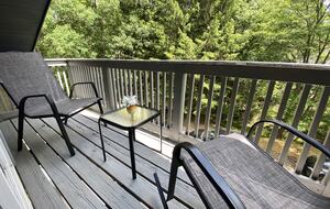 Pocono Mountains Modern Chalet - Long Pond, Pennsylvania