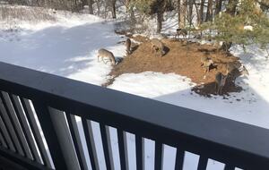 Pocono Mountains Modern Chalet - Long Pond, Pennsylvania