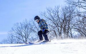 Pocono Mountains Modern Chalet - Long Pond, Pennsylvania