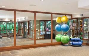 Full gym with equipment