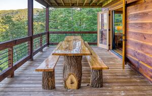 Luxury Mountain and Lake View Cabin - Blue Ridge, Georgia