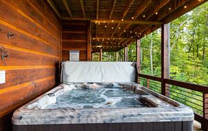 Luxury Mountain and Lake View Cabin - Blue Ridge, Georgia