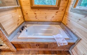 Luxury Mountain and Lake View Cabin - Blue Ridge, Georgia