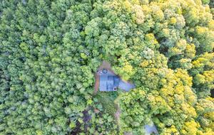 Luxury Mountain and Lake View Cabin - Blue Ridge, Georgia