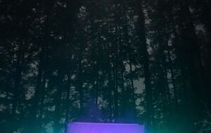 Wild Oyster Lodge on Hood Canal | Beach and Hot Tub - Quilcene, Washington