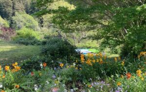 Riverfront Modern Oasis - Monte Rio, California