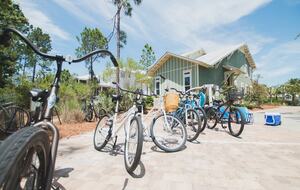 30-A house one mile from beach and Seaside - Seagrove Beach, Florida