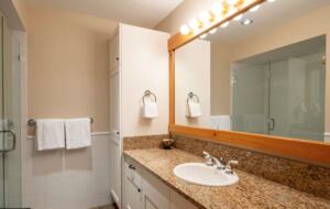 Stunning Whistler Chalet - Whistler, Canada