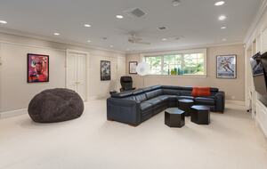 Downstairs media room