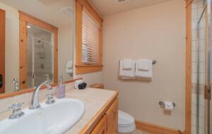 Mountain Getaway on the Telluride Golf Course - Mountain Village, Colorado