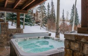 Mountain Getaway on the Telluride Golf Course - Mountain Village, Colorado