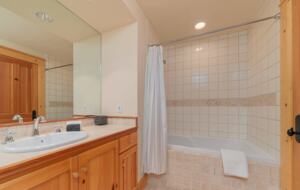 Mountain Getaway on the Telluride Golf Course - Mountain Village, Colorado