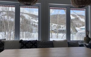 Quebec City so close : ski-in ski-out cozy chalet - Stoneham, Canada
