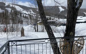 Quebec City so close : ski-in ski-out cozy chalet - Stoneham, Canada