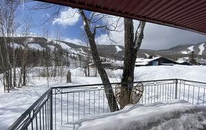 Quebec City so close : ski-in ski-out cozy chalet - Stoneham, Canada