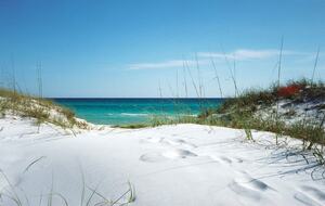 30-A house one mile from beach and Seaside - Seagrove Beach, Florida