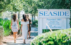 30-A house one mile from beach and Seaside - Seagrove Beach, Florida