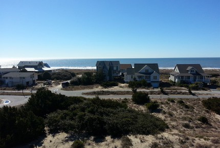 Sea Lavender - Dune Ridge