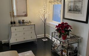 Beautiful Historic Row House in Dupont Circle - Washington, Washington DC