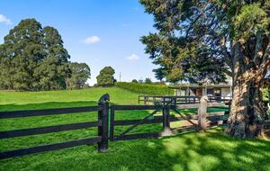 Southwood Australian farm - Burrawang, Australia