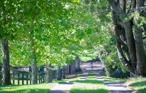 Southwood Australian farm - Burrawang, Australia