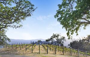 Napa Valley Resort Like Home - Saint Helena, California