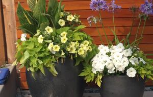 Beautiful Family Compound with Sea View on the Oregon Coast - Gearhart, Oregon