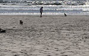 Beautiful Family Compound with Sea View on the Oregon Coast - Gearhart, Oregon